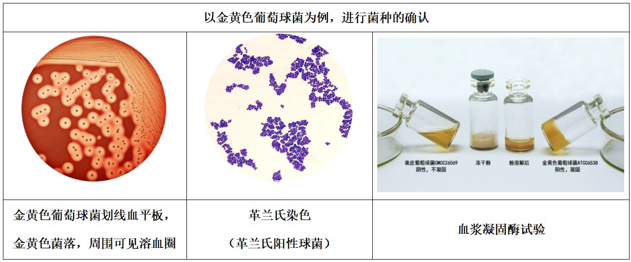 1101無菌檢查法——培養(yǎng)基適用性檢查操作要點(diǎn)(中國藥典2020年版四部) 1101無菌檢查法——培養(yǎng)基適用性檢查操作要點(diǎn)(中國藥典2020年版四部)