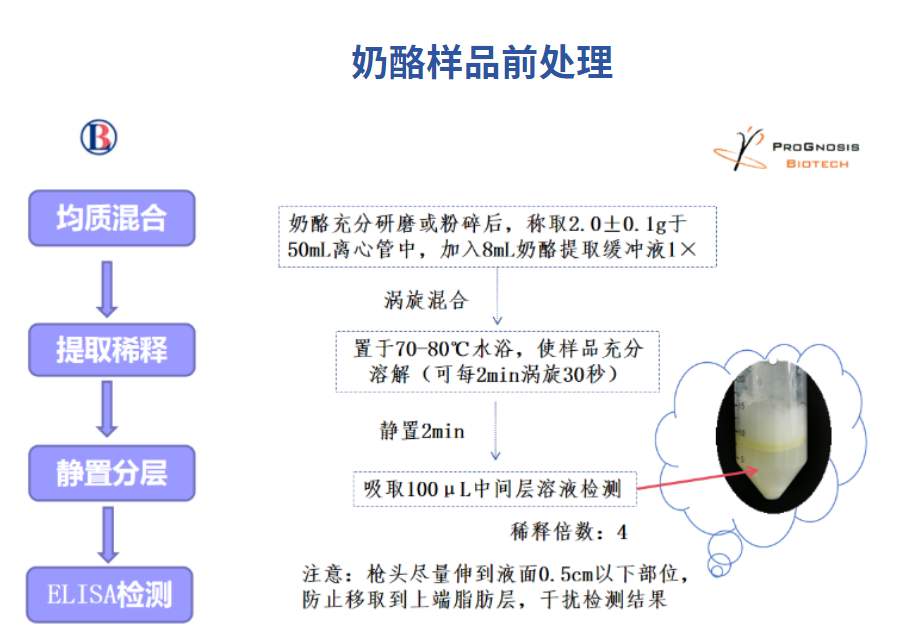 黃曲霉毒素M1的檢測 黃曲霉毒素M1的檢測