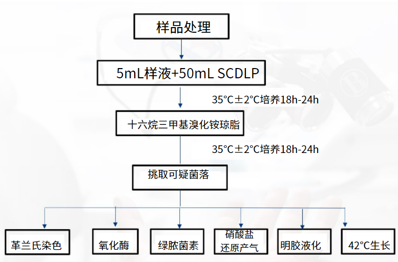 一次性衛(wèi)生用品之綠膿桿菌檢測(cè) 一次性衛(wèi)生用品之綠膿桿菌檢測(cè)